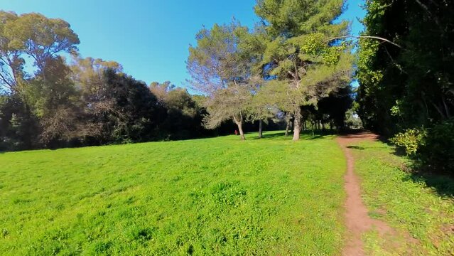 Nature in Villa Doria Pamphilj - Rome