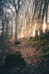 Obraz premium Wanderweg am Albtrauf bei Sonnenschein