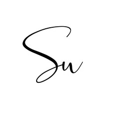 A hand-drawn signature logo design template	