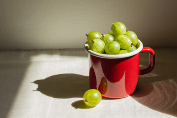 Gooseberry in a red enamel mug in sunlight