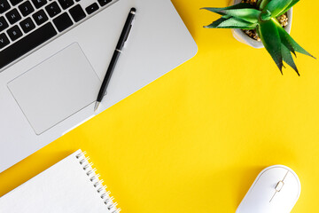 Laptop, notepad and plant on yellow background, flat lay.