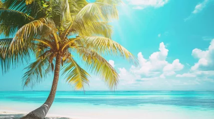 Crédence de cuisine en verre imprimé Turquoise Coconut palm tree on the tropical beach. Summer vacation concept