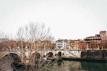 Photo sur Plexiglas Ponte Vecchio ponte vecchio city, rome city februar 2024