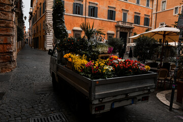 flowers in the street, rome italy, february 2024