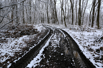 dirt road in winter forest - 740736794