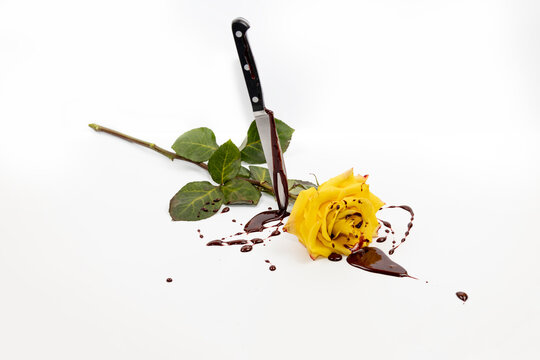 The beautiful yellow rose with knife on bloody background.
