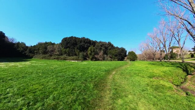 Nature in Villa Doria Pamphilj - Rome