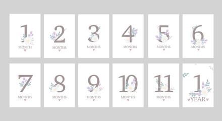 Baby milestone cards. First months cards. Flowers cards.Baby shower invitation. Newborn girl cards, stickers. Vector illustration. Children cards first 12 months. White background with flowers bouquet