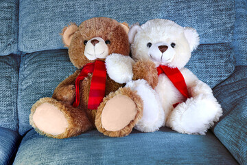 Cute teddy bears with linked arms
