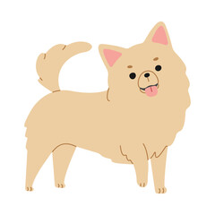 Chihuahua 2 cute on a white background, vector illustration.