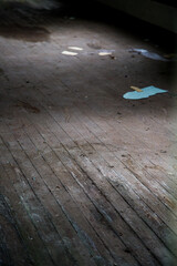 leaves on the floor in the abandoned room