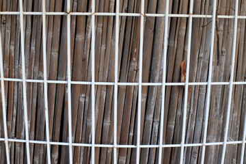 A fence in a city park in northern Israel.