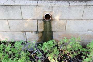A fence in a city park in northern Israel.