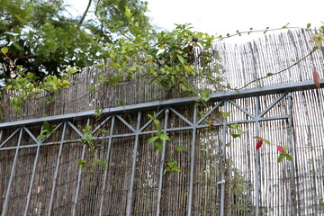 A fence in a city park in northern Israel.