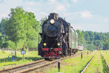 Fototapeta na wymiar Retro steam train moves in the forest.