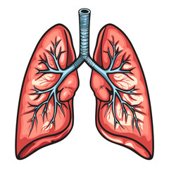 Lungs icon. Cartoon illustration of lungs vector icon for web