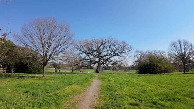 Nature in Villa Doria Pamphilj - Rome
