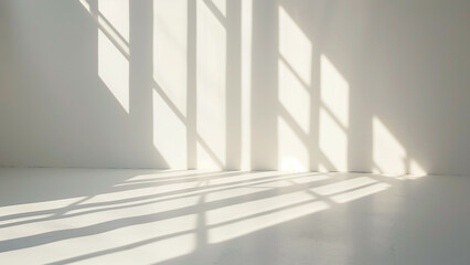 Minimal Shadows: The Dance of Light Rays on a White Wall