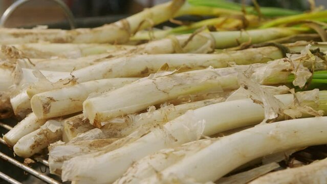 Traditional Spanish catalan green winter onion calcots, spring green season grill barbecue, vegan bbq with fire in Barcelona, Catalonia. Close up of grilling green onion.