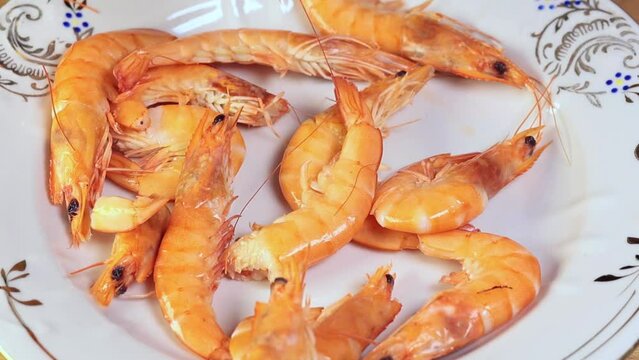 Putting Tasty Shrimps on the plate. Fresh prawns, healthy seafood, close up, slow motion footage.
