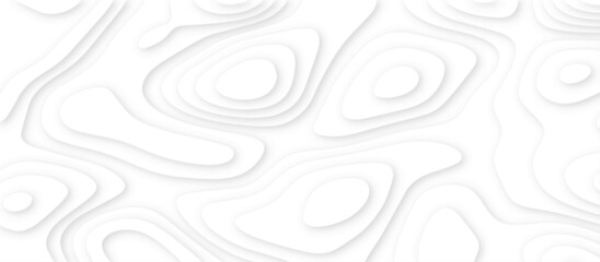 Abstract white background with paper cut out layers .Luxury paper cut background, Abstract decoration .Vector illustration. Material design. Paper cutting texture. Applicable for business banner.