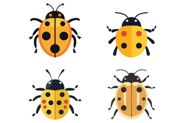 Ladybug insect and seamless vector illustration.
