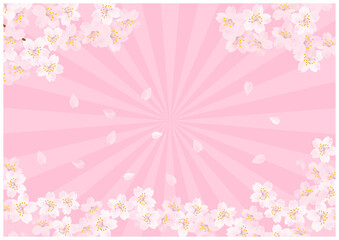 桜の花が美しい春の桜放射状背景39ピンク