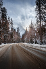 empty road through the winter mountain forest at sunset
