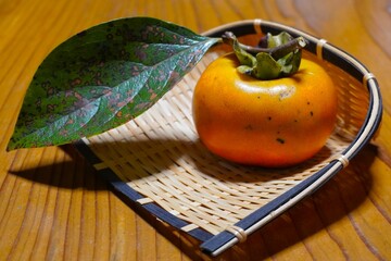 収穫したばかりの葉付き柿の実