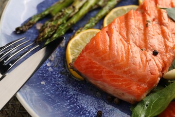 Tasty grilled salmon with asparagus, lemon and spices served on table, closeup