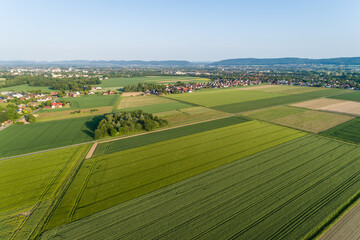 Fototapeta premium saftige Felder von oben aus der Luft, Deutschland