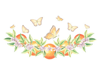 Branch of oranges fruits with green leaves, flowers and fluttering butterflies. Hand drawn watercolor illustration ofsummer citrus. Isolated print template for cards, scrapbooking, embroidery, textile