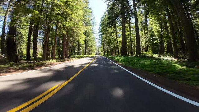 Crater Lake Highway Eastbound Union Creek to South Entrance 03 Front View Driving Plates Oregon USA Ultra Wide