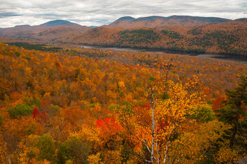 Fototapeta premium Thirteenth Lake From Balm Of Gilead Mountain, Siamese Ponds Wilderness Area,Adirondack Forest Preserve, New York, USA