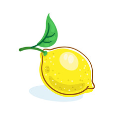 Fresh lemon with green leaf. Picture in line style. Dark outline with colored spots. Isolated on white background. Vector flat illustration.