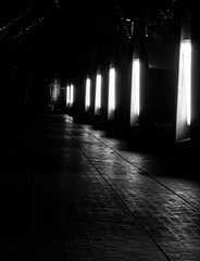 black and white mystic picture  with empty street and lights