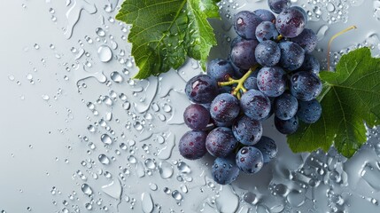 Grapes isolated. A bunch of ripe blue grapes with leaves in water drops on a white background. - obrazy, fototapety, plakaty