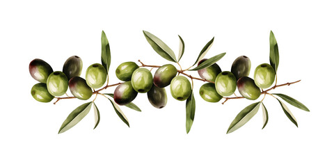 Watercolor olives bracnhes banner - isolated border for template, design, decor, cards and invitation