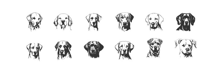 Dog's head hand drawn set. Vector illustration design. - obrazy, fototapety, plakaty
