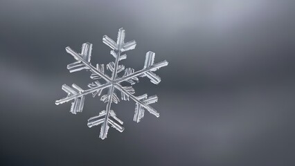 Elegant Snowflake Close-Up, Crystal Clear Detail Against a Moody Sky