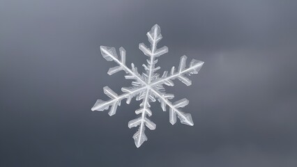 Macro Shot of Intricate Snowflake Crystal Against Grey Winter Sky