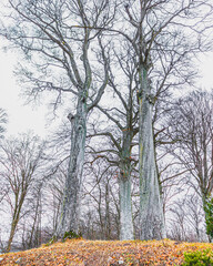 kaszuby © Przemyslaw
