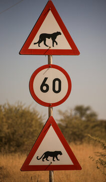 road sign beware of leopard and speed limith 60