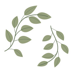 Vector illustration of branches with green leaves on a white background.