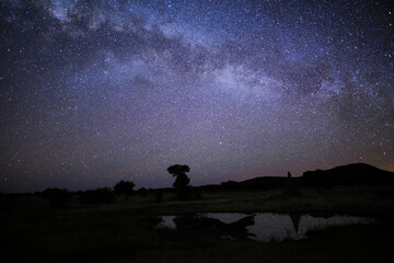 night picture of the african night sky with the milky way and many stars