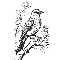 A black and white pencil drawing of a birds on a rose in the style
