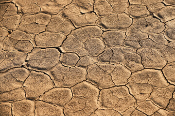 clay pan soil pattern in Deadvlei, Namibia