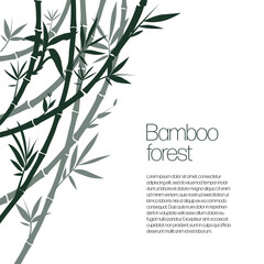 Bamboo bush, ink painting on a white background. Vector illustration.