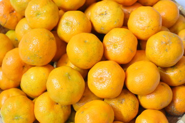 シークヮーサー