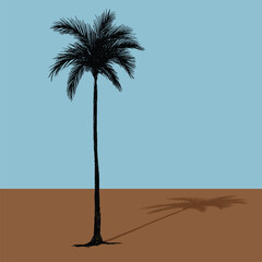 Palm tree coconut Clipart illustration vector design1